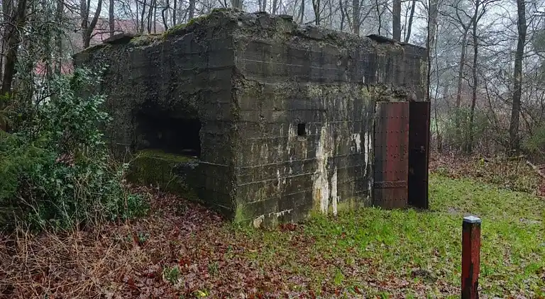 Sommerhus i Branderup J