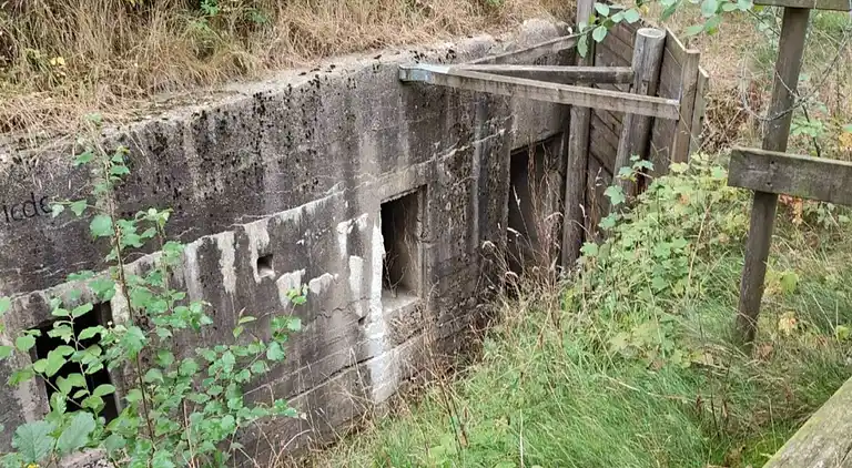 Sommerhus i Branderup J