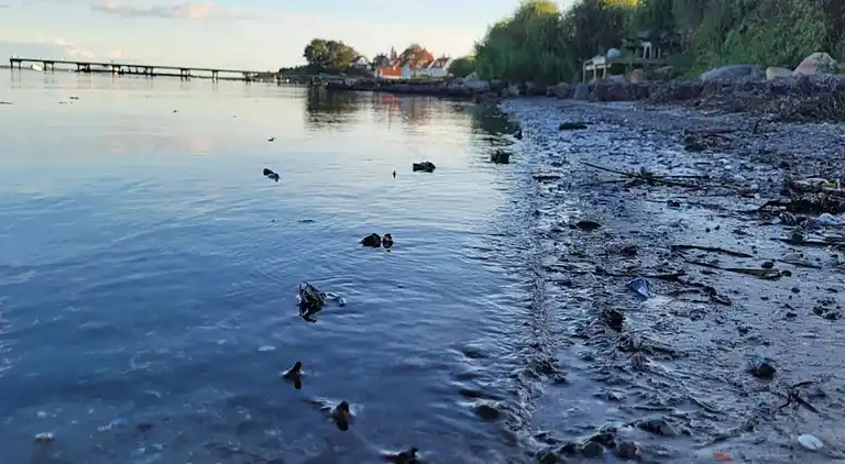 Casa de vacaciones en Faaborg