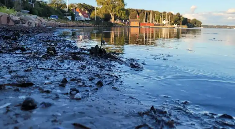 Casa de vacaciones en Faaborg