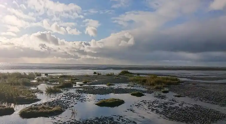 Semesterbostad vid Rindby Strand