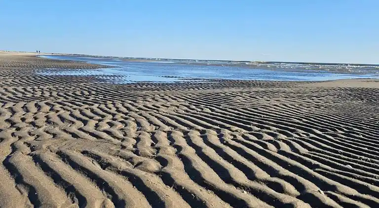 Semesterbostad vid Rindby Strand