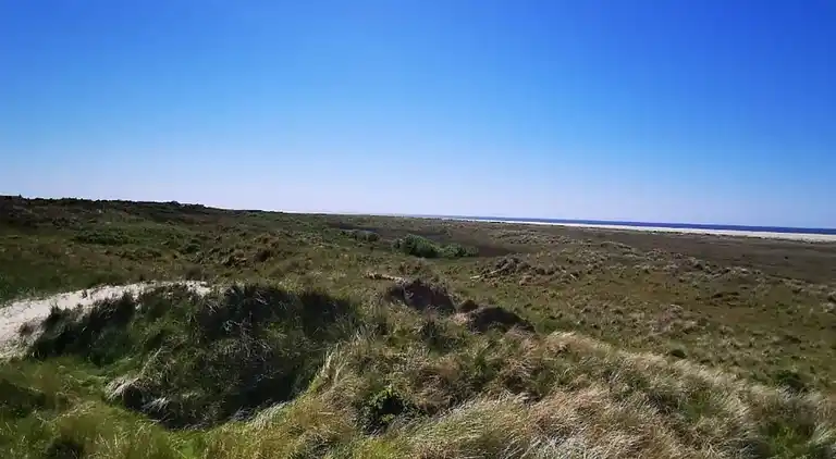Semesterbostad vid Rindby Strand