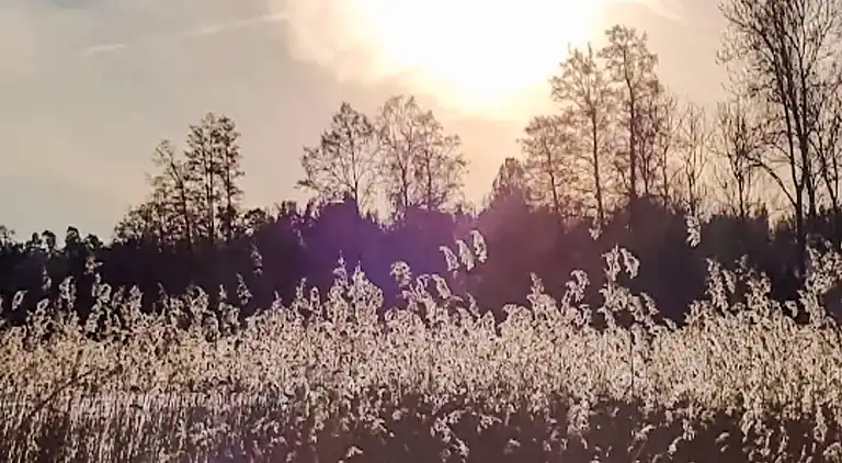 Semesterbostad i Hövik