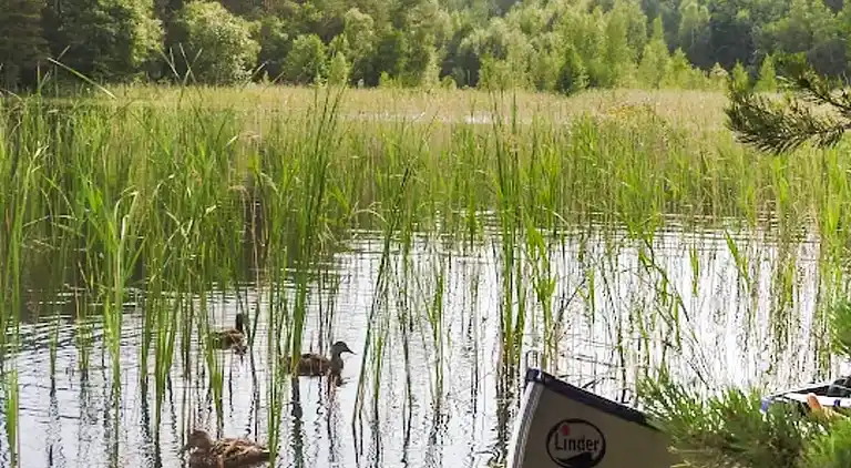 Semesterbostad i Hövik