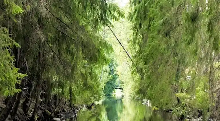 Semesterbostad i Hövik