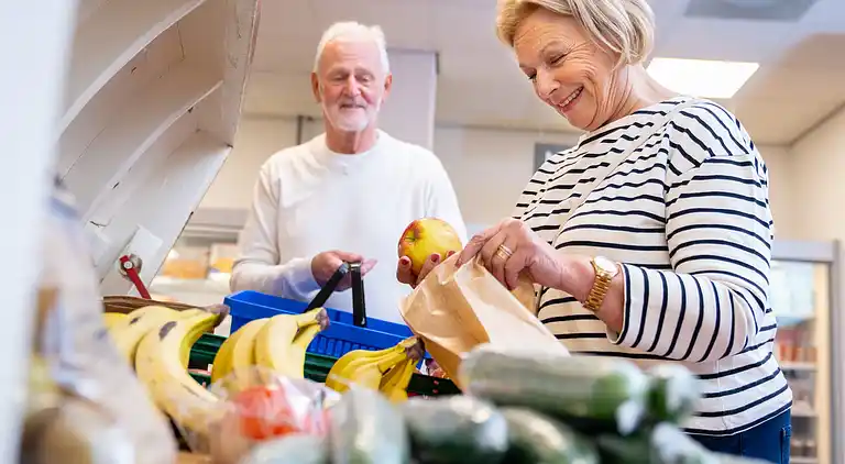 Sommerhus i Volendam