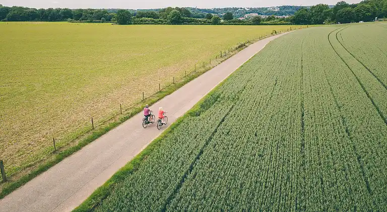 Bungalow i Schin op Geul