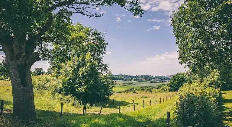 Bungalow i Schin op Geul