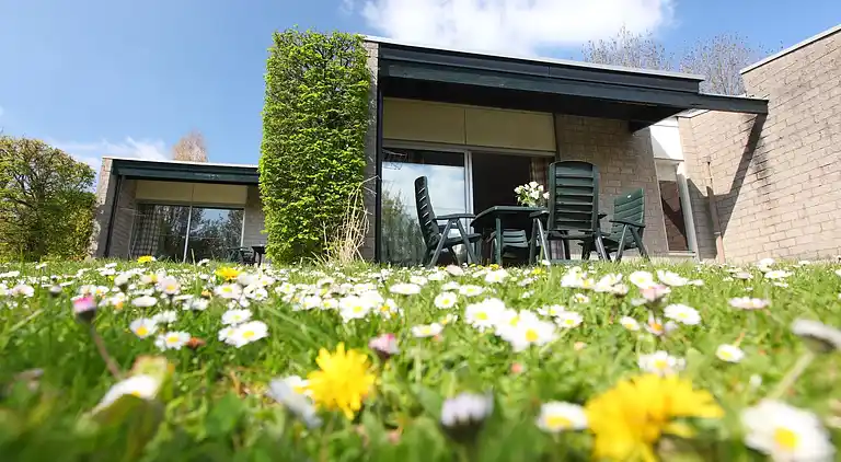 Bungalow i Schin op Geul