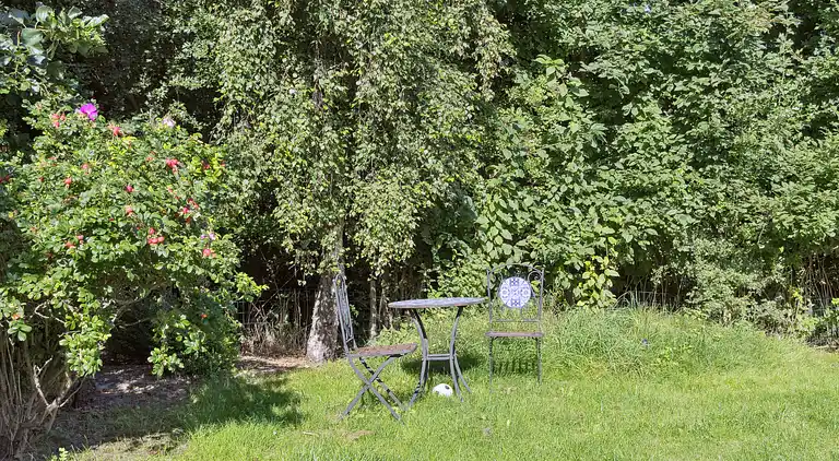 Feriehus med spa nær strand, skov og kultur