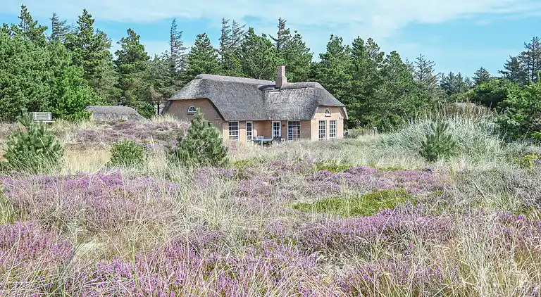 vakantiehuis in Ulfborg