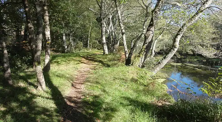 Farm house in Castrotañe