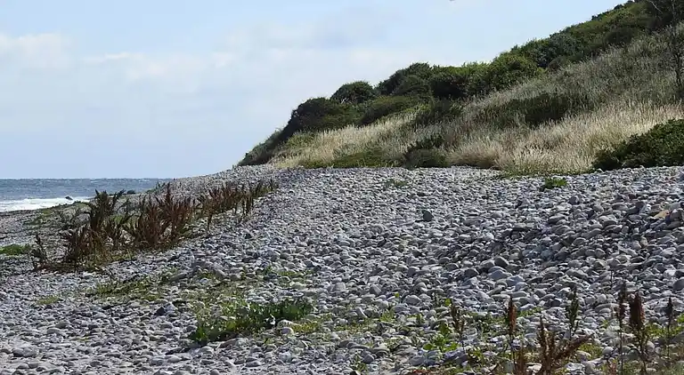Sommerhus i Nykøbing Sjælland