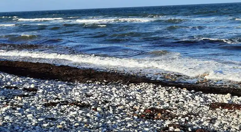 Sommerhus i Nykøbing Sjælland
