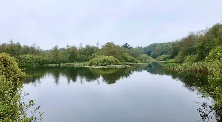 Holiday home in Kvie Sø
