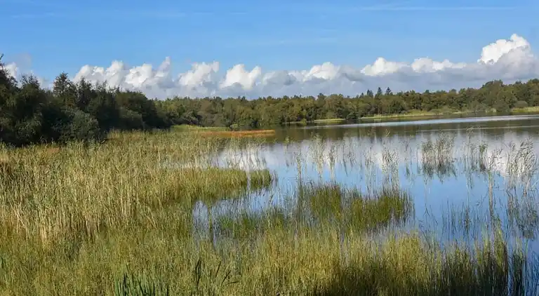 Holiday home in Kvie Sø