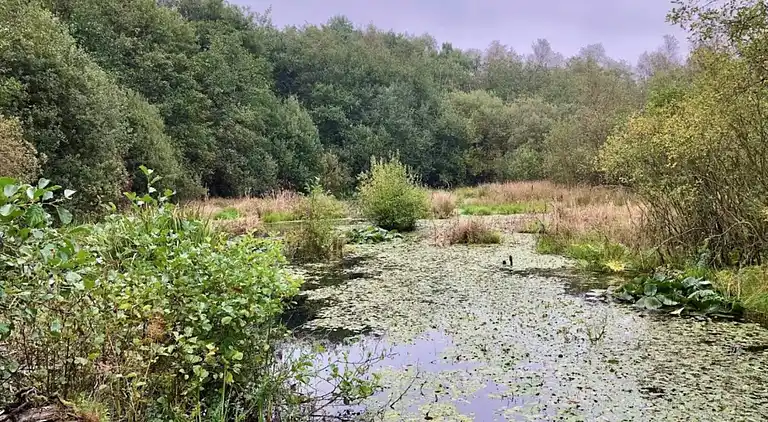 Holiday home in Kvie Sø