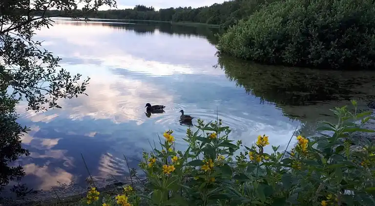 Holiday home in Kvie Sø