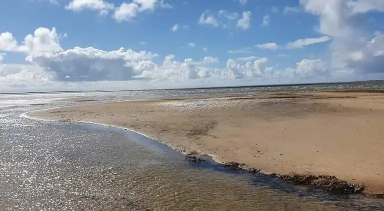 Holiday home in Esbjerg V