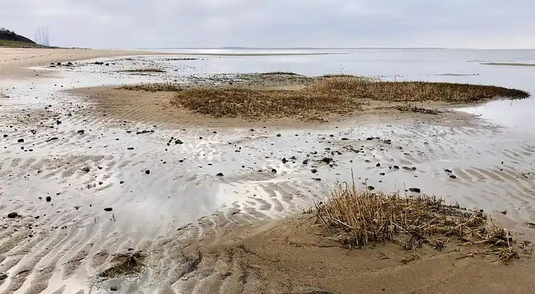 Holiday home in Esbjerg V