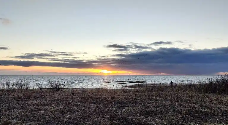 Holiday home in Esbjerg V