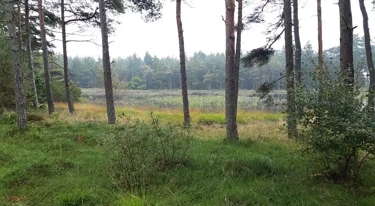 Sommerhus i Kongsmark