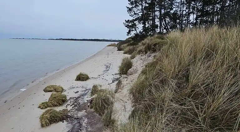 Sommerhus i Kongsmark