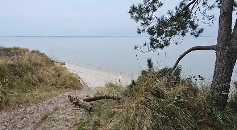 Sommerhus i Kongsmark