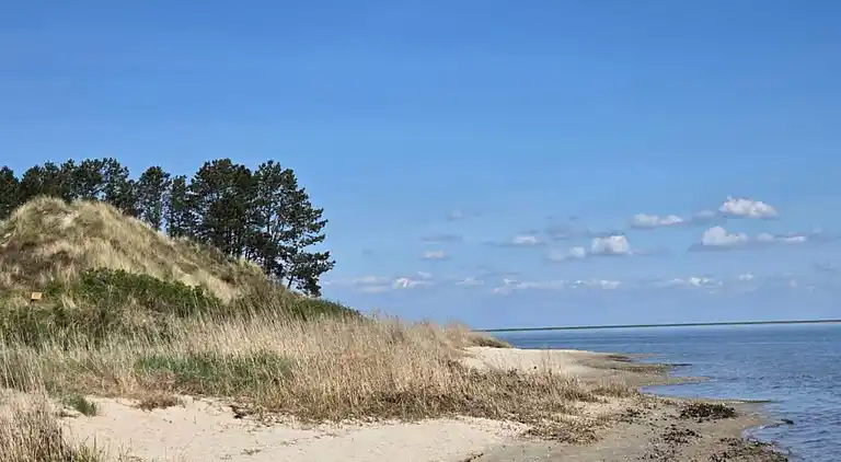 Sommerhus i Kongsmark