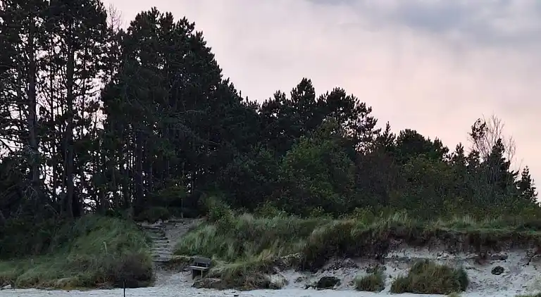 Sommerhus i Kongsmark