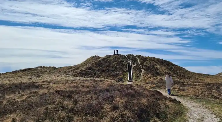 Sommerhus i Kongsmark