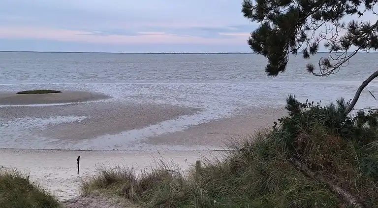 Sommerhus i Kongsmark