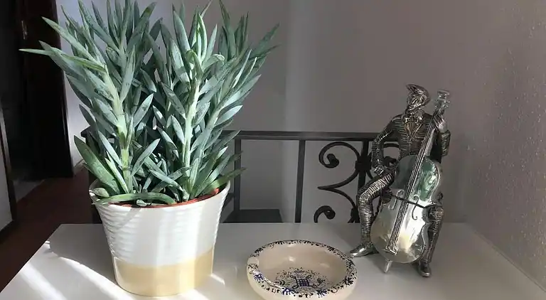 Ferienhaus in Verscio