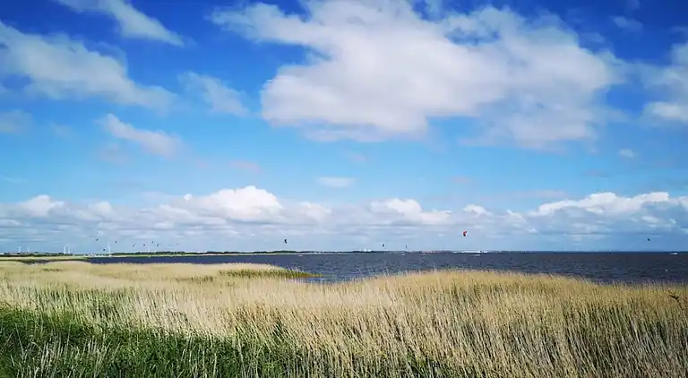 Sommerhus i Ringkøbing