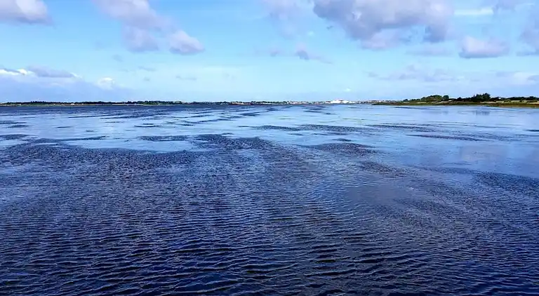 Sommerhus i Ringkøbing