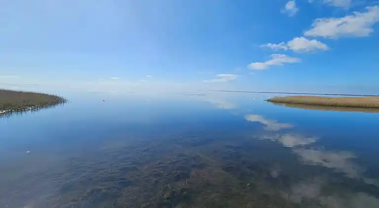Sommerhus i Ringkøbing
