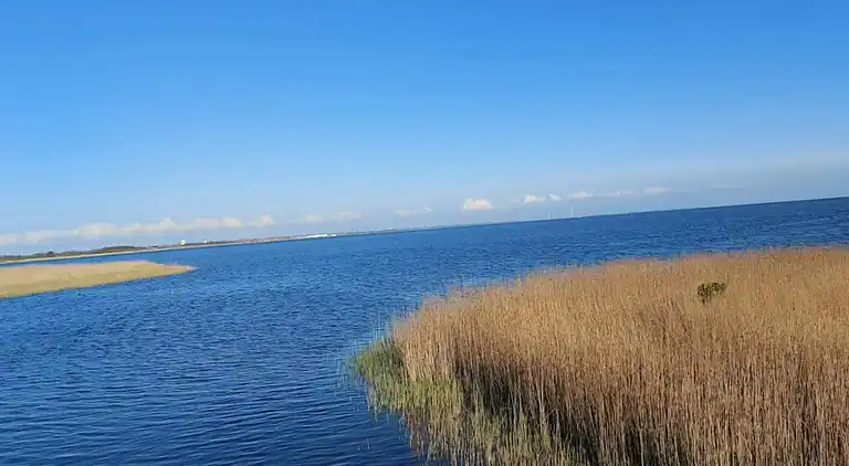 Sommerhus i Ringkøbing