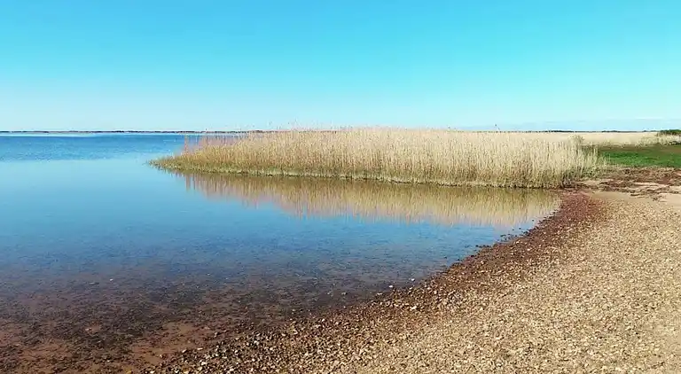 Sommerhus i Ringkøbing