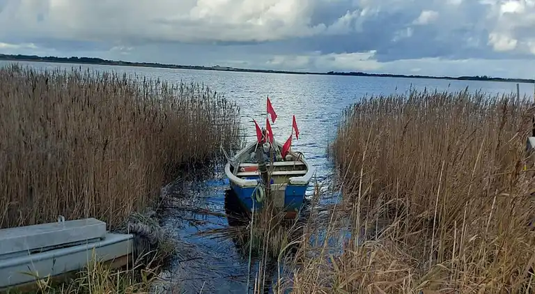 Sommerhus i Ringkøbing