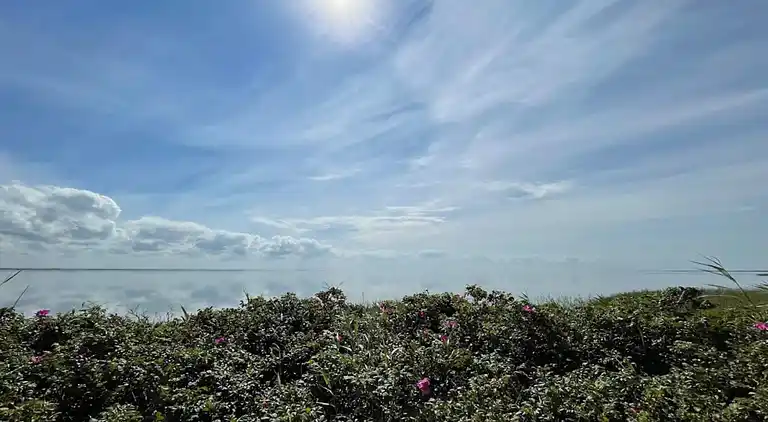 Sommerhus i Ringkøbing