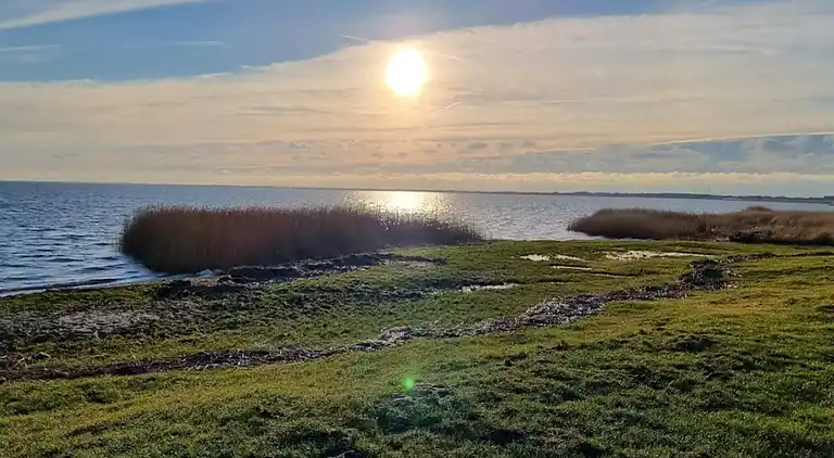Sommerhus i Ringkøbing