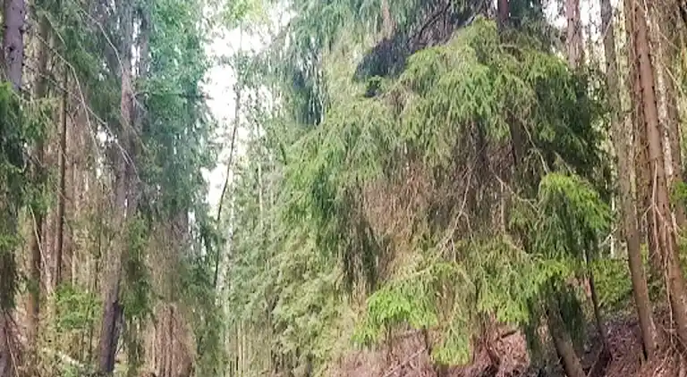 Semesterbostad i Hövik