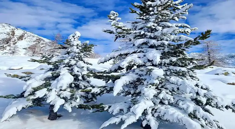 Ferielejlighed i Valdeblore