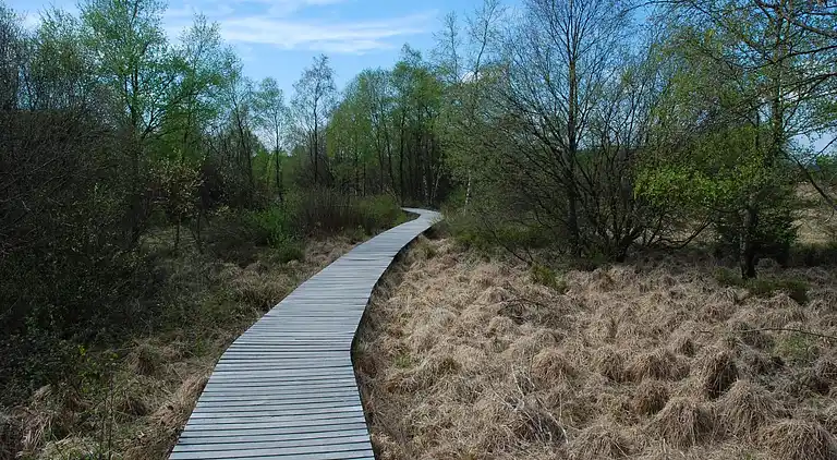 Apartment in Elsenborn