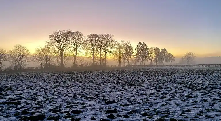 Apartment in Elsenborn