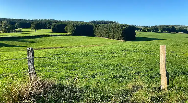 Apartment in Elsenborn