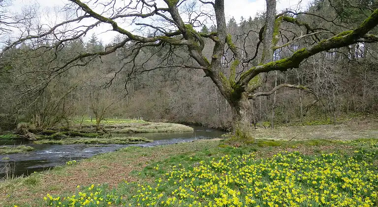 Apartment in Elsenborn