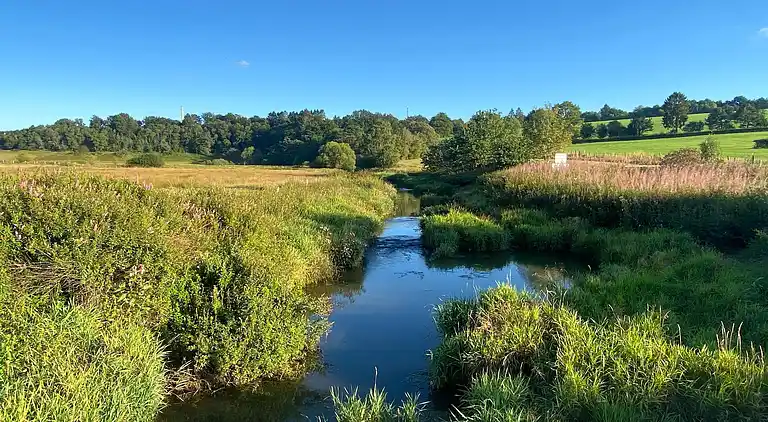 Apartment in Elsenborn