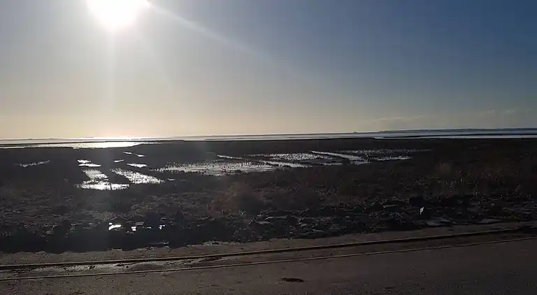 Ferienhaus in Bosbüll